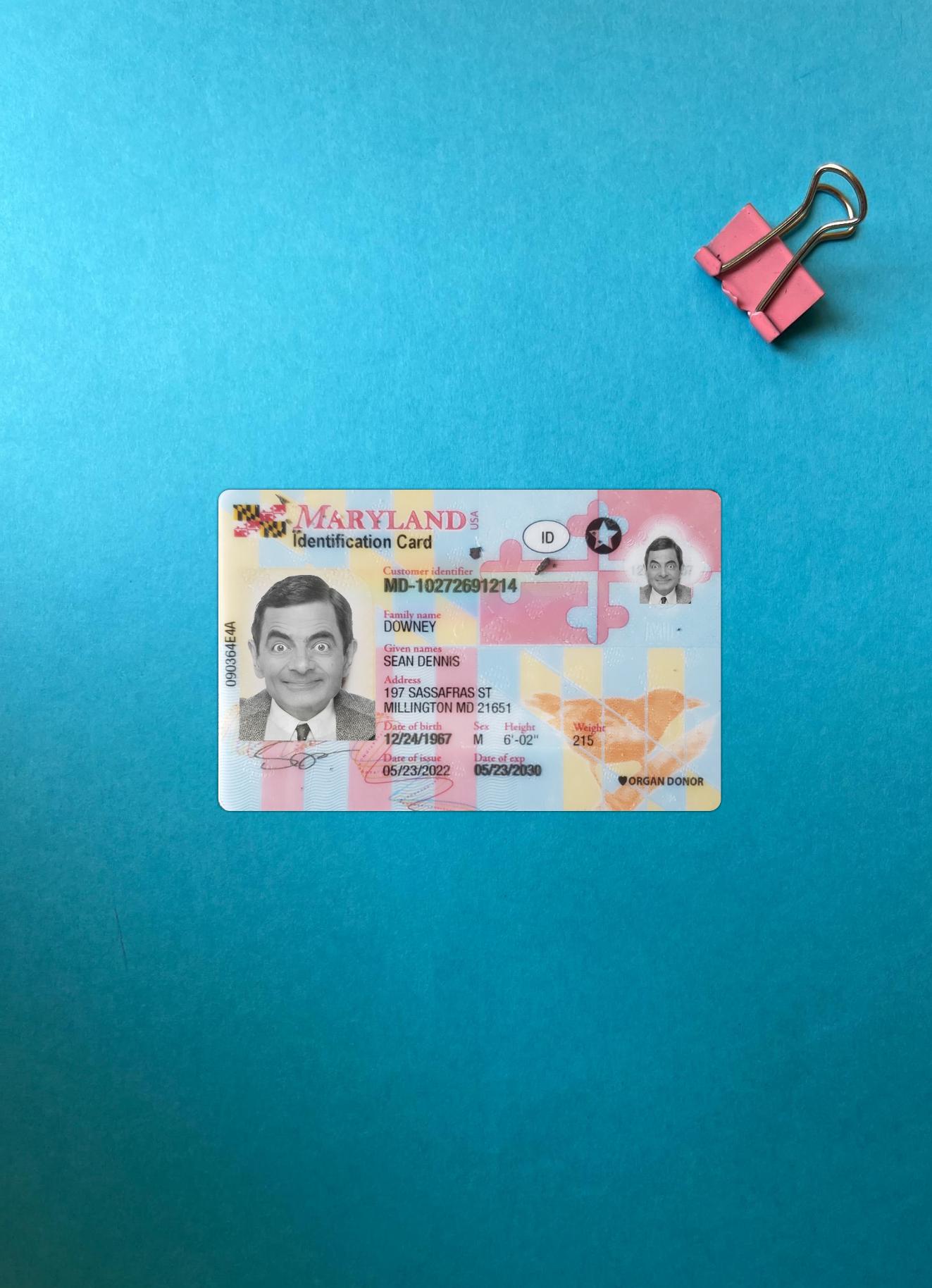 Printable USA Maryland ID card photolook example